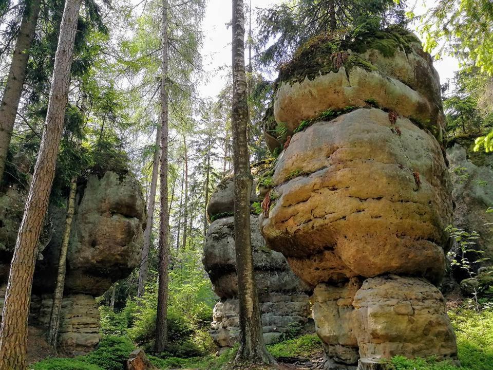 Zielona Roza Vila Wambierzyce Exterior foto